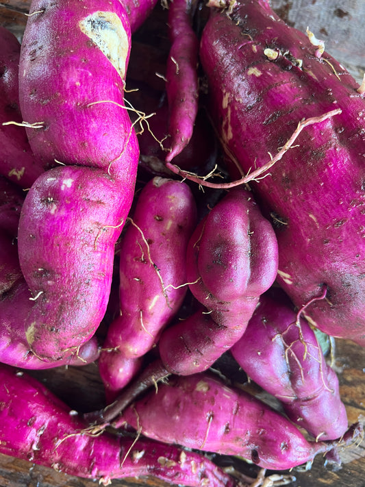 VEG Sweet Potato